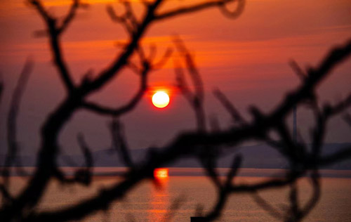 稅務(wù)登記辦理流程有哪些？