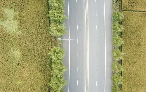 關(guān)于沈陽勞務(wù)派遣單位法定責(zé)任相關(guān)問題解答