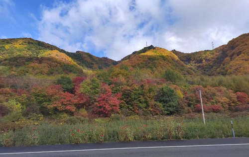 沈陽工傷外包:工傷醫(yī)療期及其待遇相關問題匯總