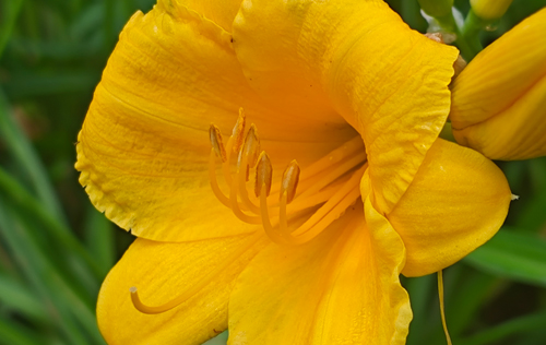 遼寧省機(jī)關(guān)事業(yè)單位為什么招聘這么多勞務(wù)派遣人員？