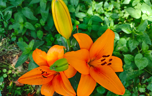 簽訂了無固定期限勞動合同卻被辭退，怎么辦？沈陽人事代理來幫忙