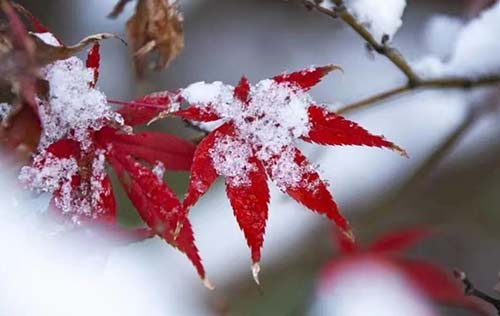 沈陽(yáng)人事代理有哪些好處？